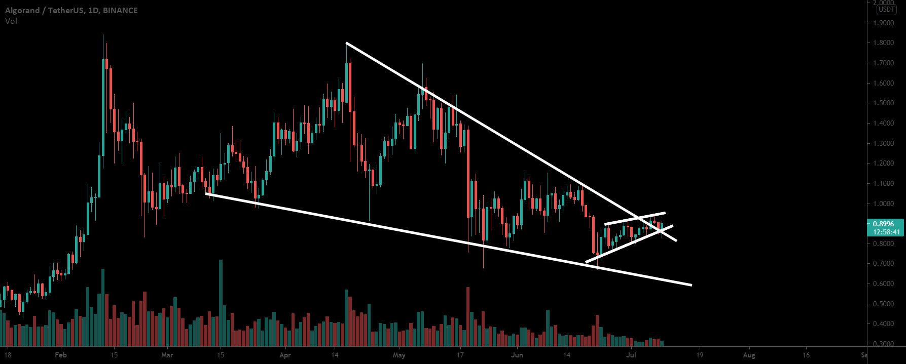 The Most Explosive Move Of Algorand (ALGO) Is Here for BINANCE:ALGOUSDT by moon333 1 The Most Explosive Move Of Algorand (ALGO) Is Here for BINANCE:ALGOUSDT by moon333