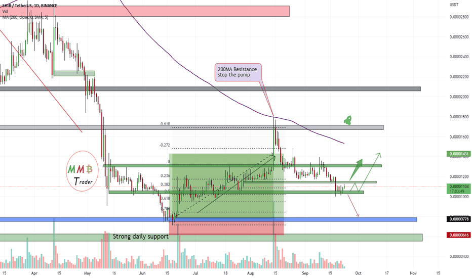 t_MMBTtrader