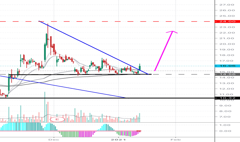 Arkx Holdings / The First 39 Companies In Cathie Wood's Ark Invest