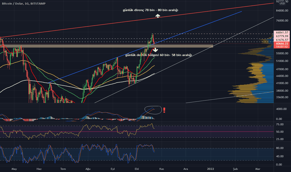 BTCUSD logaritmik günlük destek direnç seviyeleri
