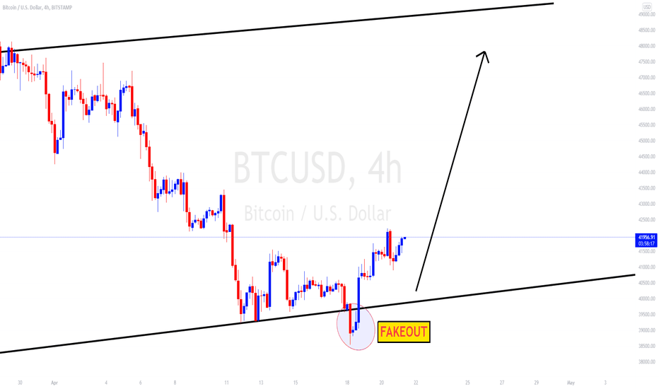 Williamforex