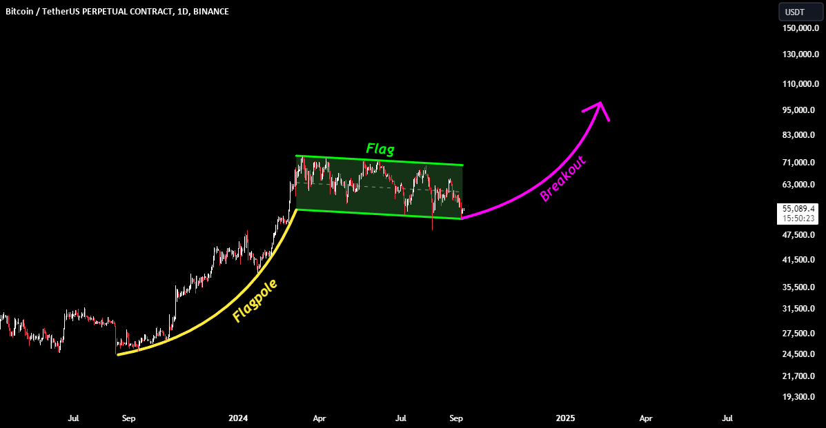 All About the Flag Pattern (Beginner-Friendly) for BINANCE:BTCUSDT.P by ...