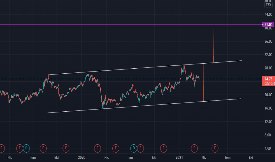 AEFES 41 TL ?? BİST100