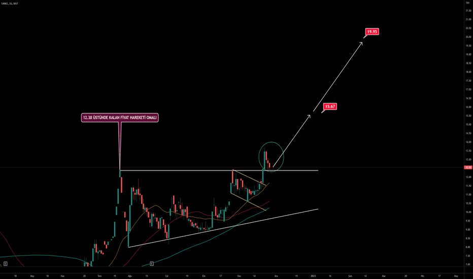 SANEL | Genel Teknik Görünüm - SANEL MUHENDISLIK