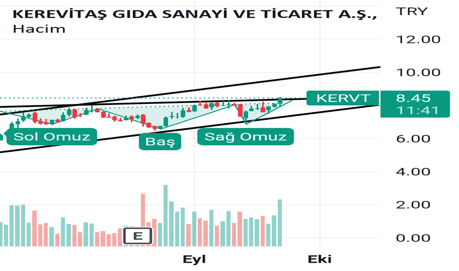 KERVT G TOBO al sat tut tavsiyesi içermez ytd - KEREVITAS GIDA