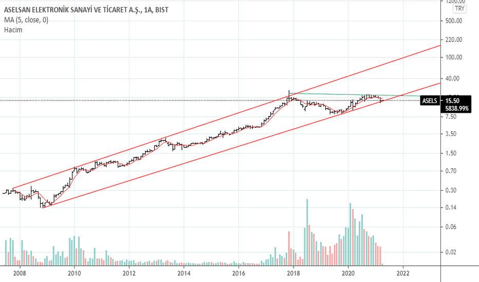 asels trend dibi