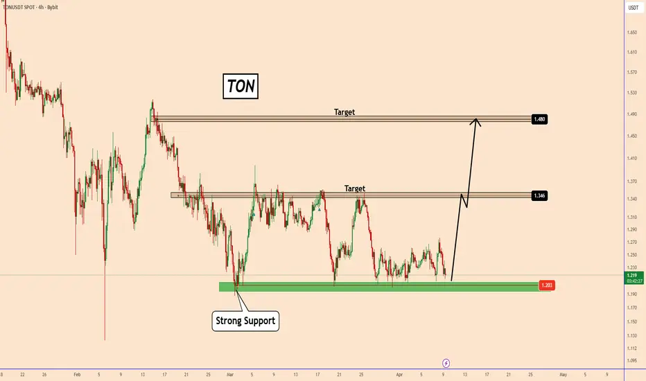 TON Support Levels Observed