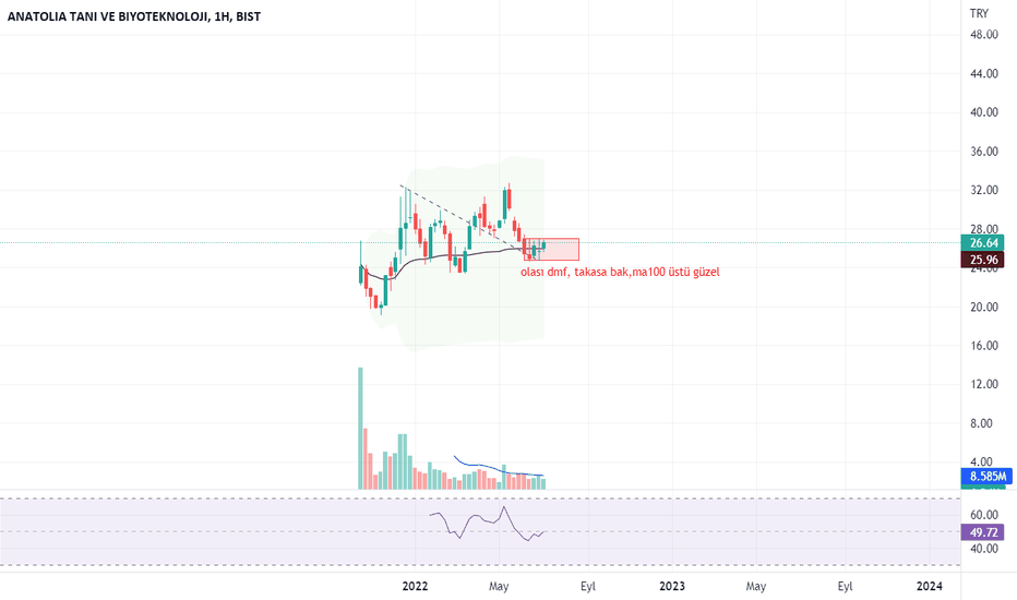 angen (Angen ) Teknik Analiz ve Yorum - ANATOLIA TANI VE BIYOTEKNOLOJI
