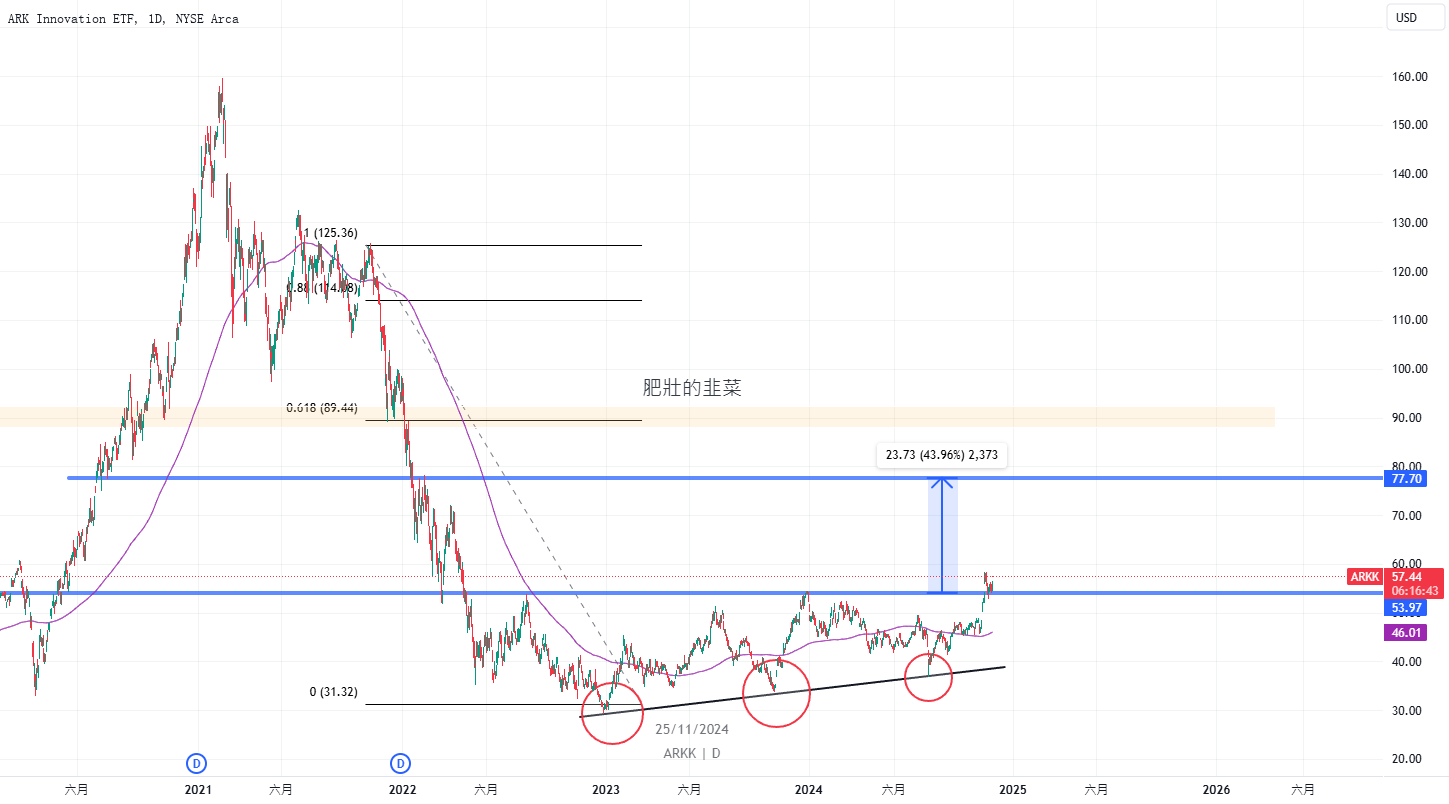 FatGarlicChives的AMEX:ARKK的ARKK ARK Innovation ETF 機會重燃 — TradingView