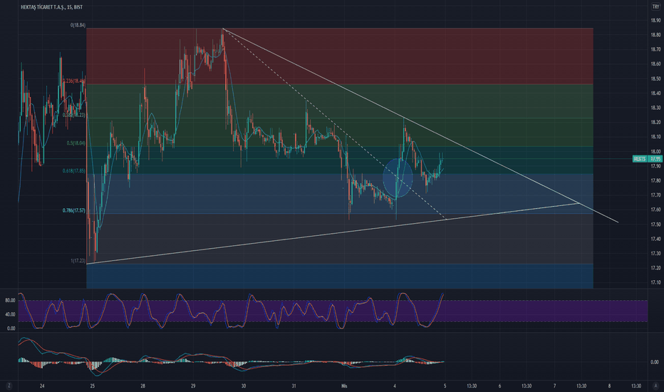 HEKTS Analiz Çalışması - HEKTAS