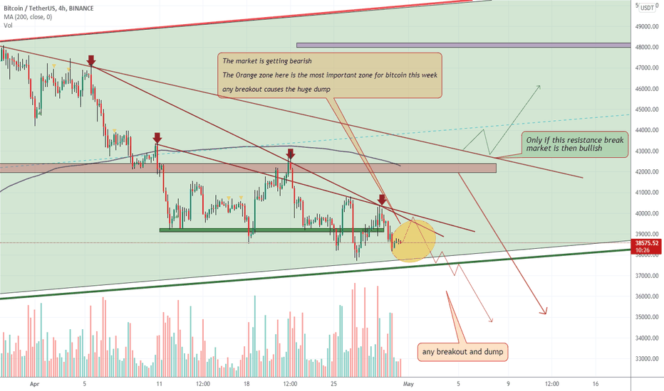t_MMBTtrader