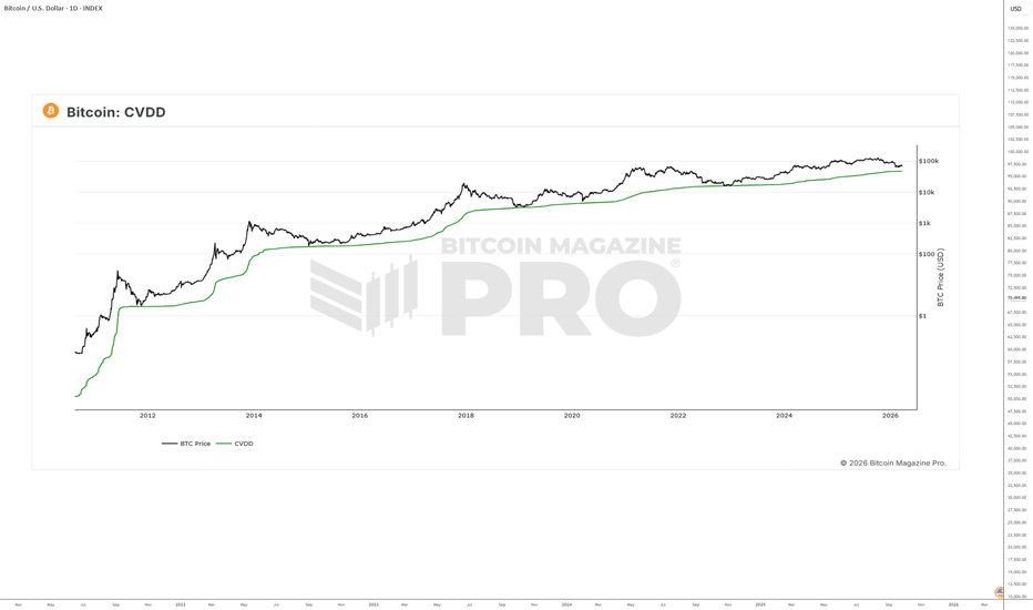 Final Bitcoin Bottom, TOP 3 Indicators