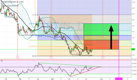Swn stock options
