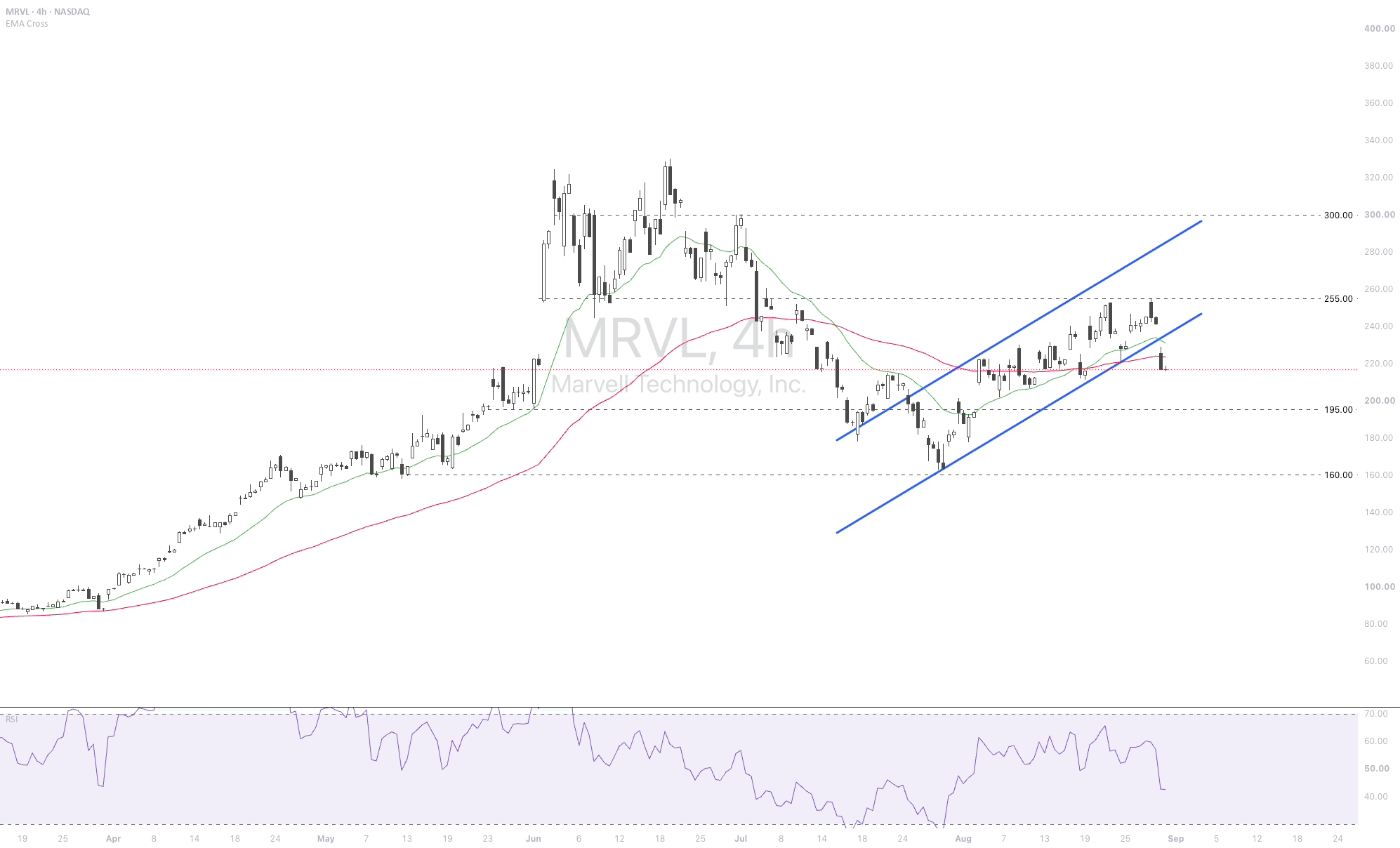 Marvell beats but Alphabet TPU timeline disappoints Marvell beats but Alphabet TPU timeline disappoints