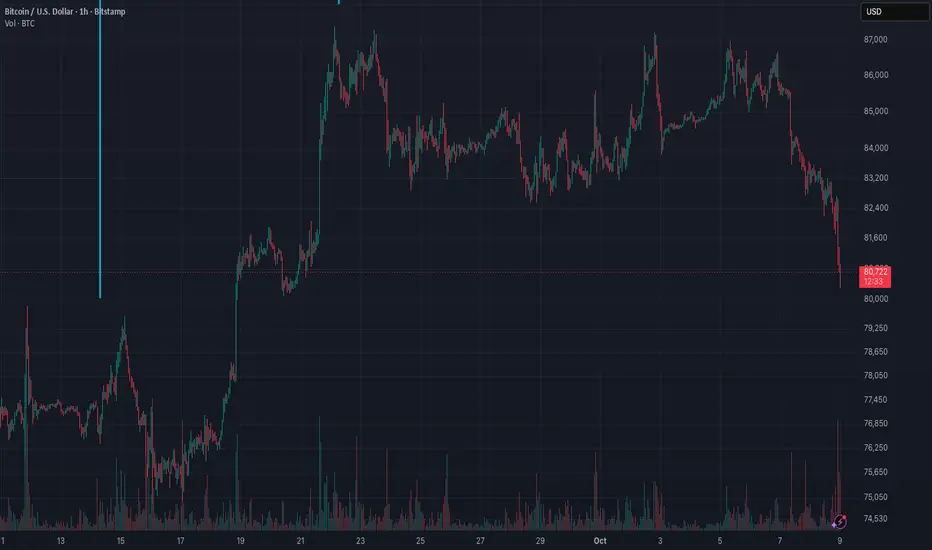 The Bitcoin Reality