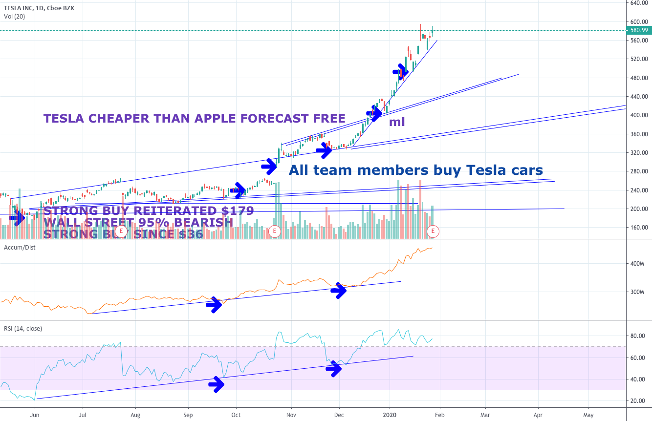 Alex Vieira Reassures Tesla Investors $1 Billion Profit Forecast
