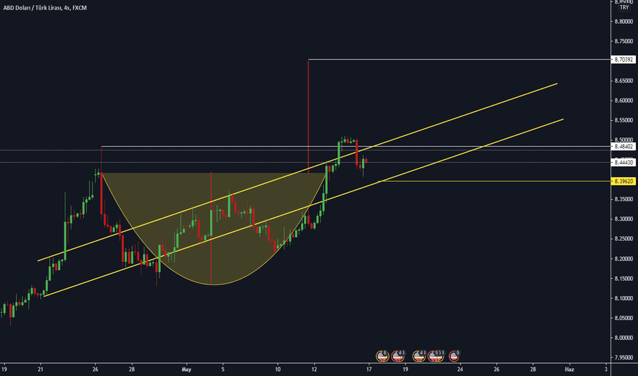 USD - Dolar
