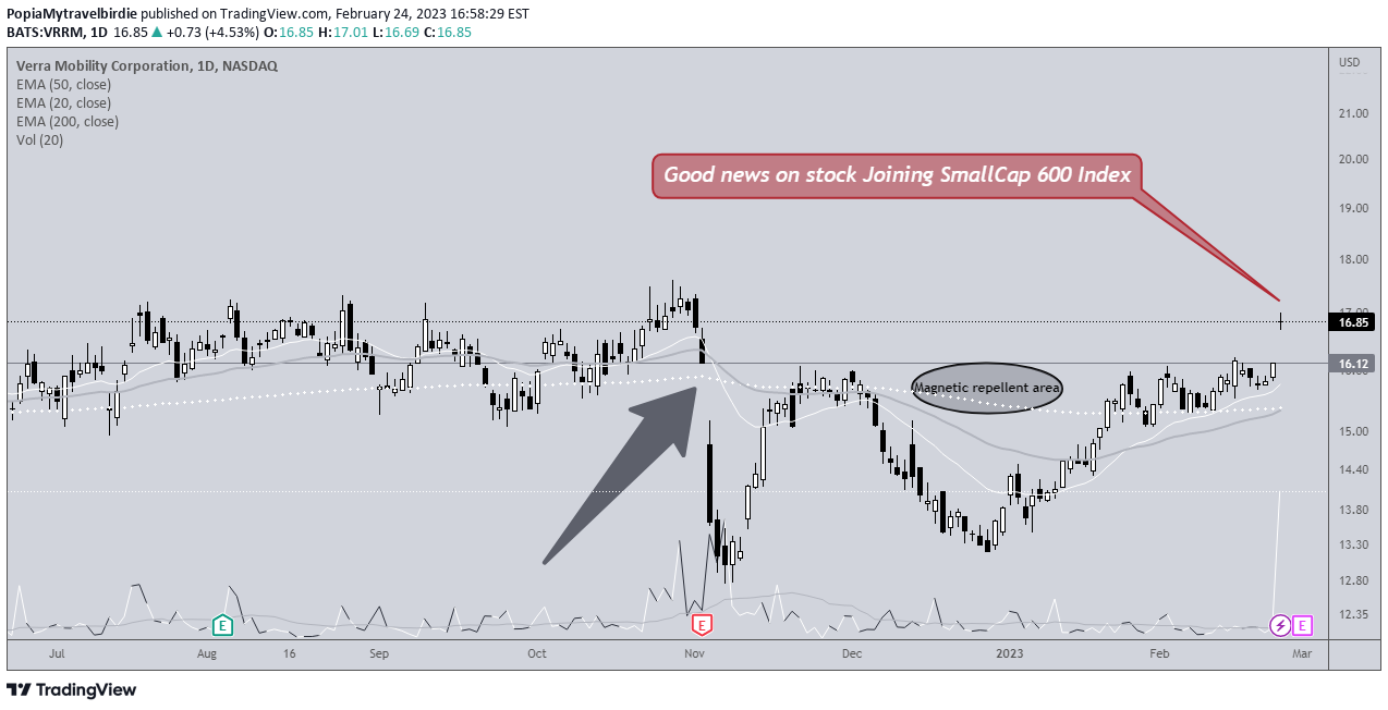 NASDAQ:VRRM Idea Chart Image by PopiaMytravelbirdie