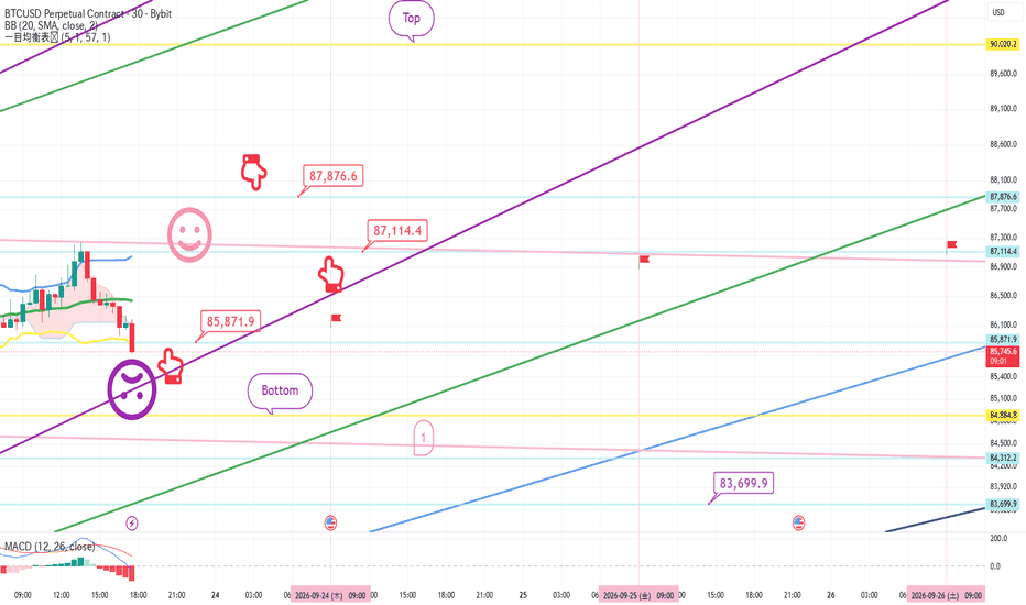ビットコインチャートと価格 - BTC USD — TradingView