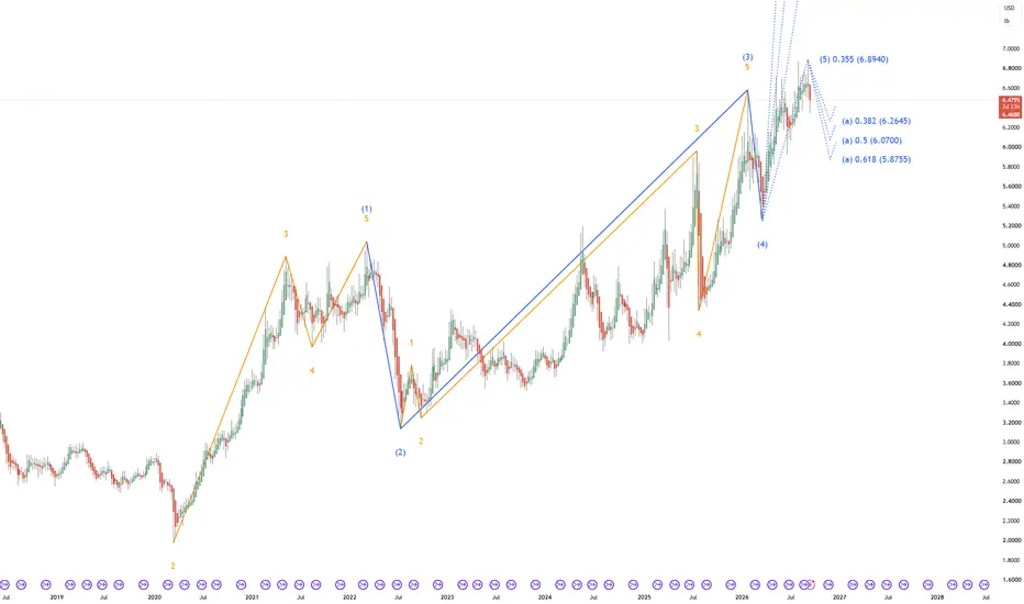 Five-wave rally may be complete