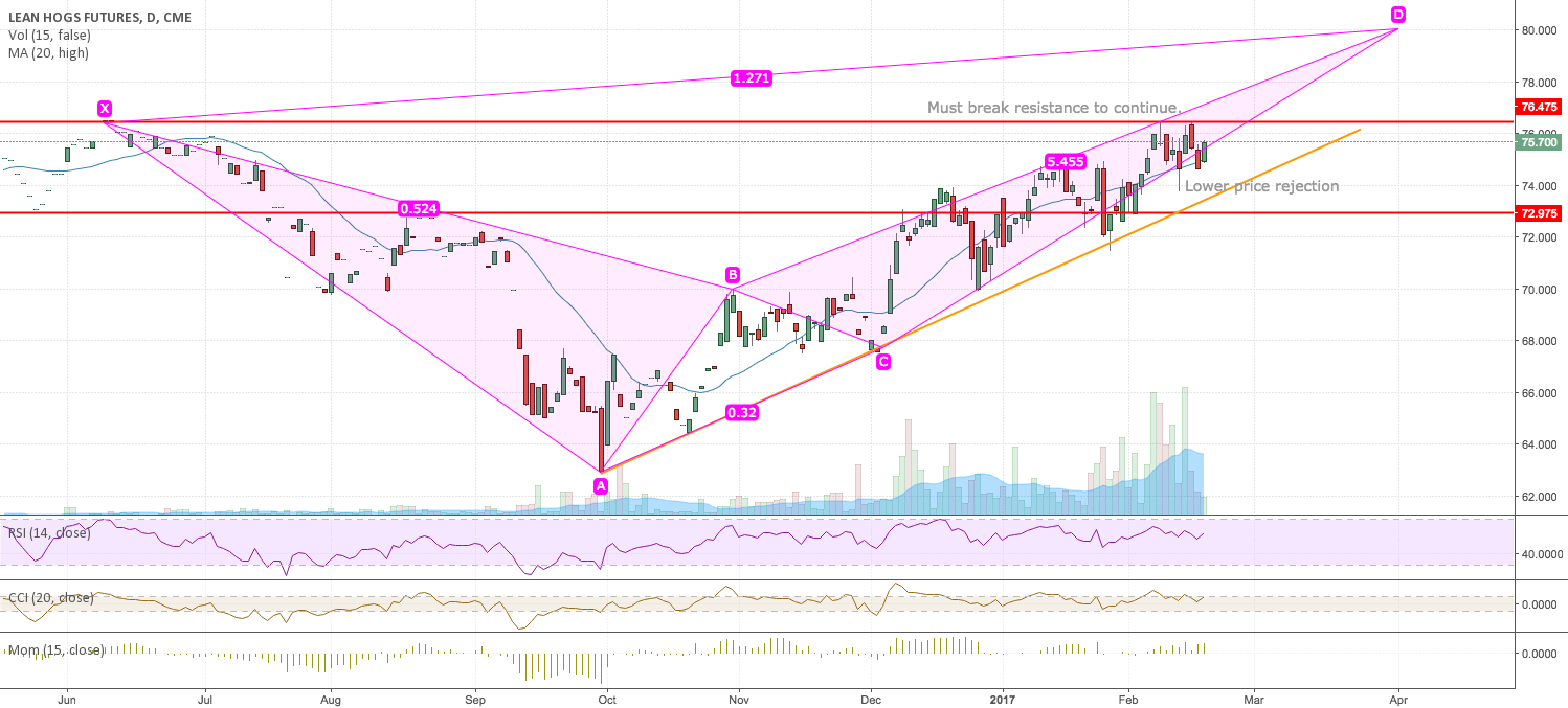 Lean Hogs for CMEHEK2017 by hopscotch — TradingView