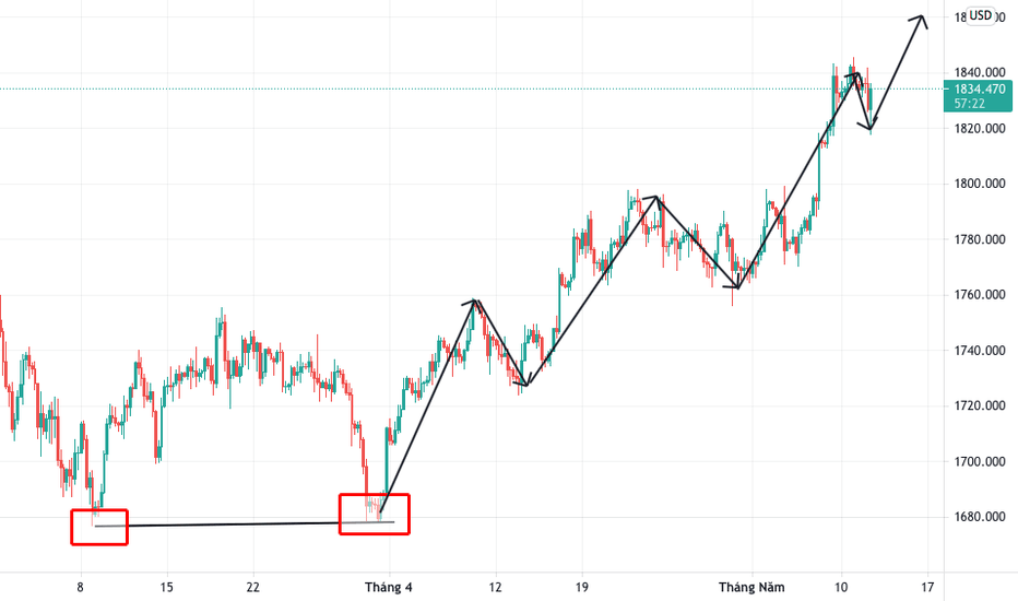 Đánh giá zeal forex