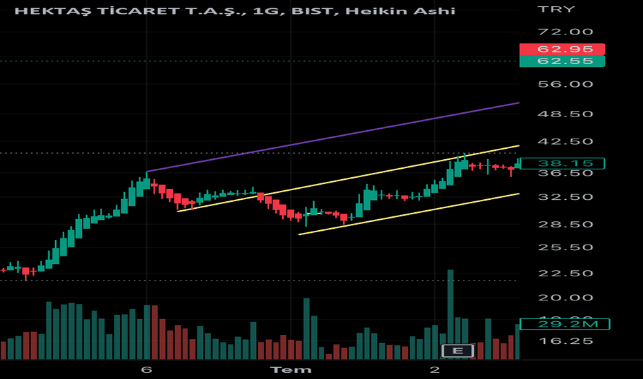 Hekts - Hisse Yorum, Teknik Analiz ve Değerlendirme - HEKTAS