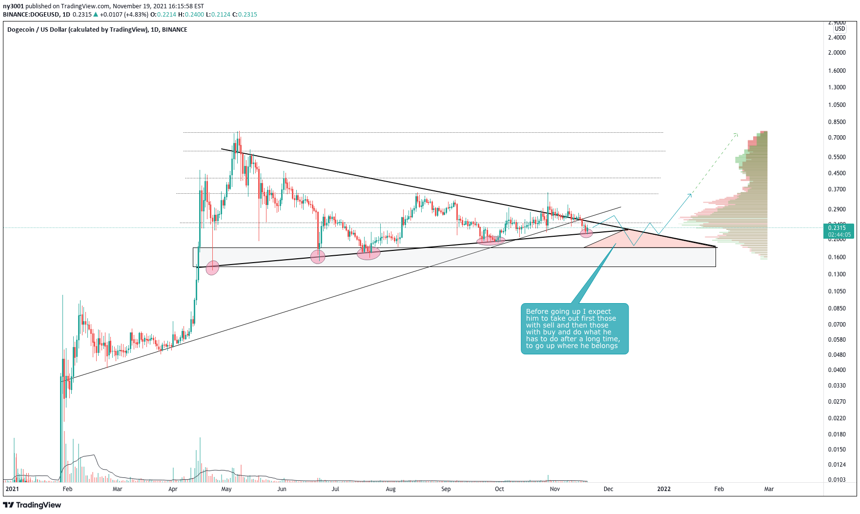 BINANCE:DOGEUSD Idea Chart Image by Smaryo3001