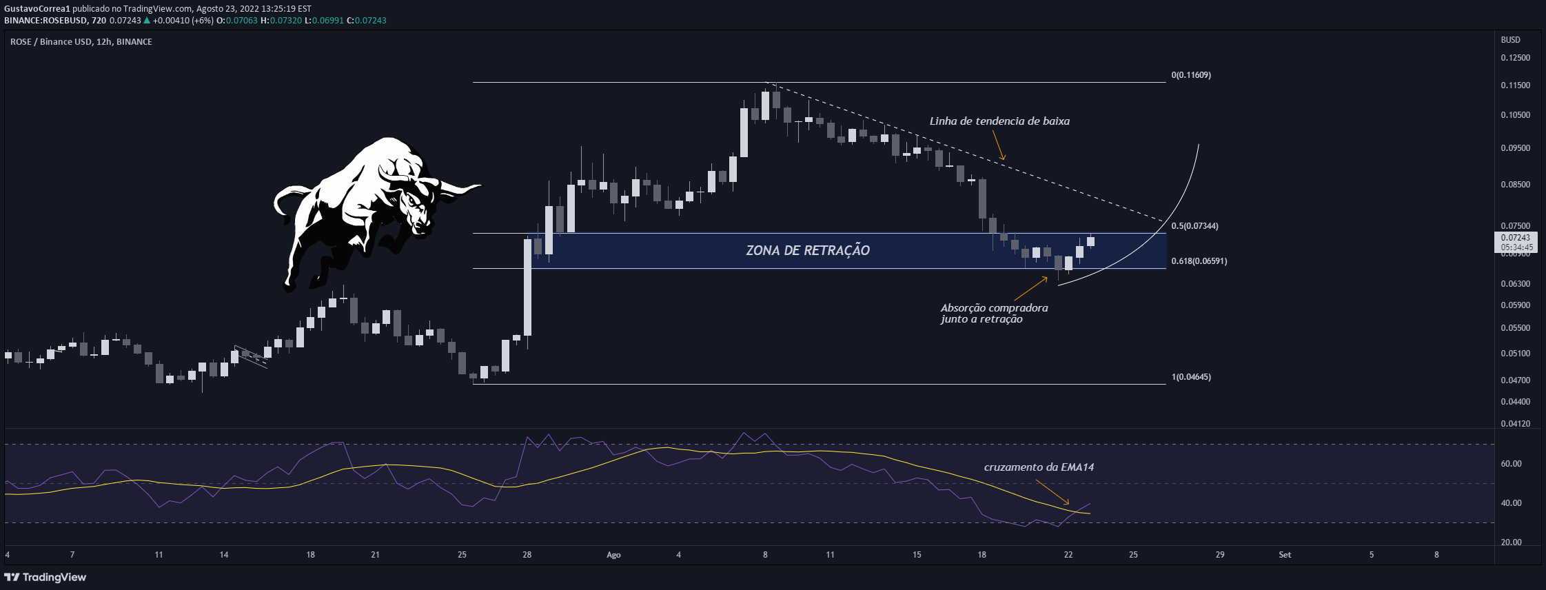 Imagem do Gráfico de Ideias de BINANCE:ROSEBUSD por GustavoCorrea1