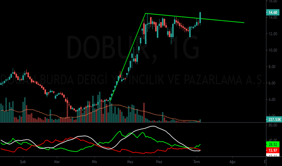 DOBUR FLAMA Grafiğe göre yatırım yapmayınız.