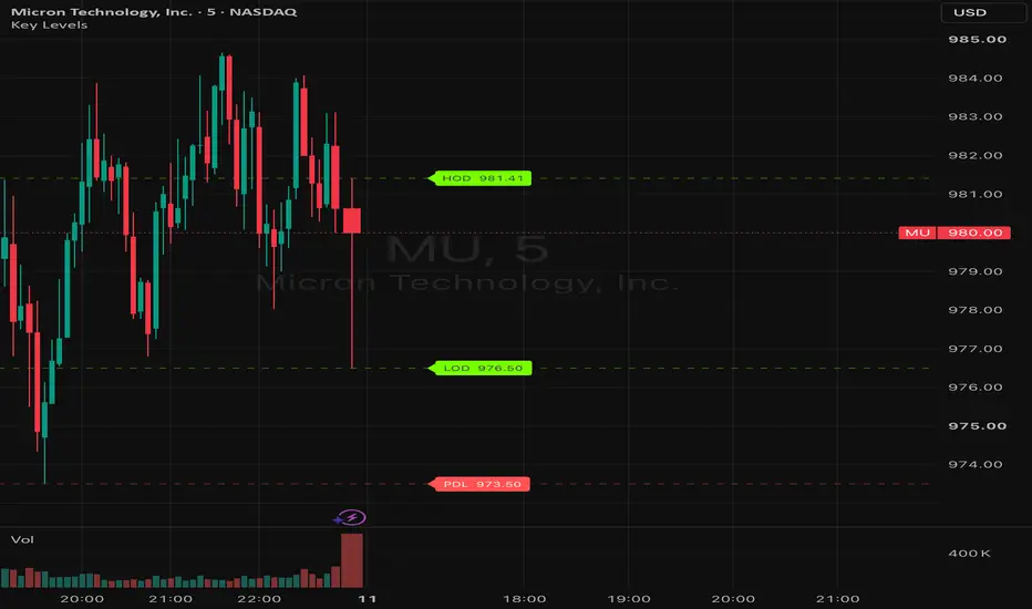 Prev Day & Pre-Market Levels — AviramRam 의 인디케이터 — TradingView
