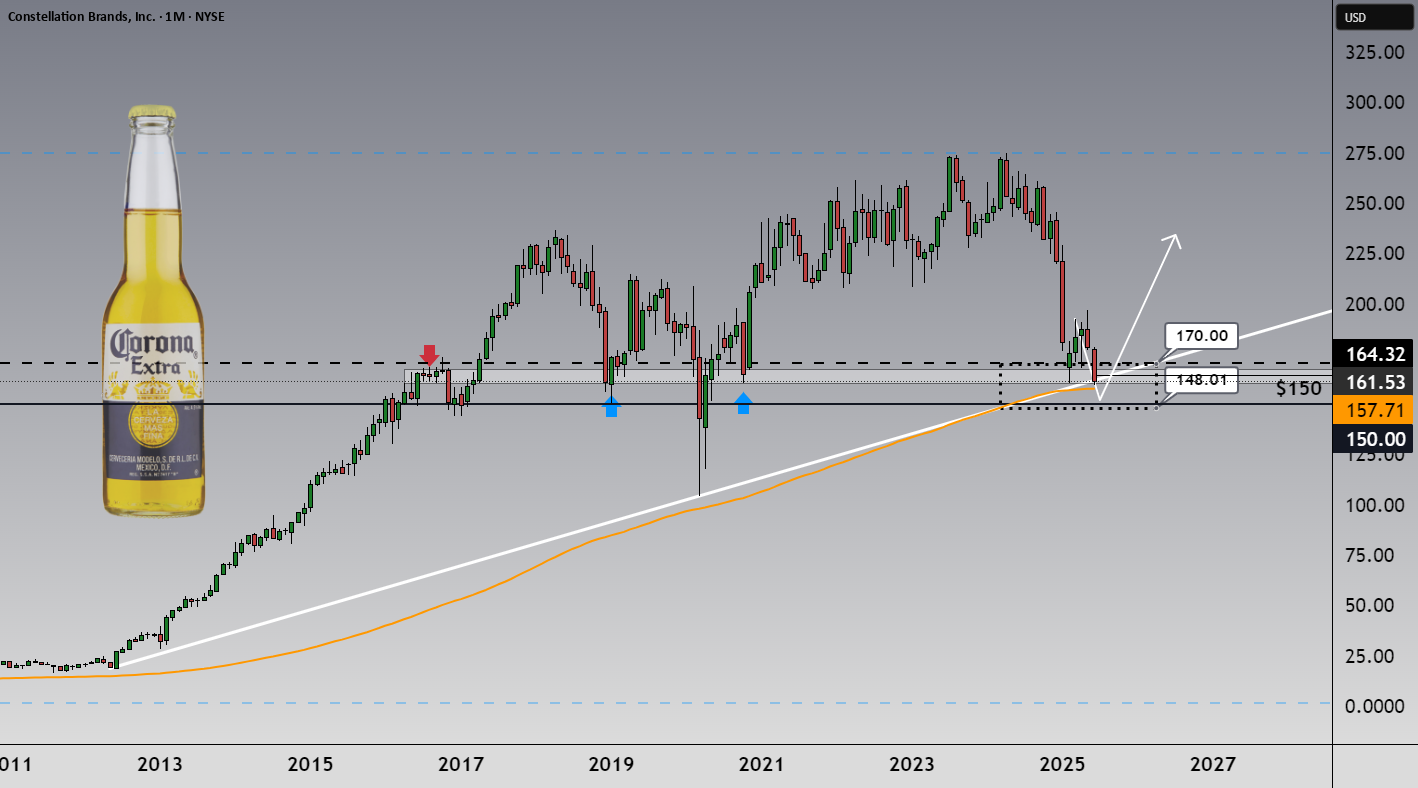 27% Cheaper Than Buffett’s Buy – And Sitting on a Key Zone for NYSE:STZ by VaidoVeek