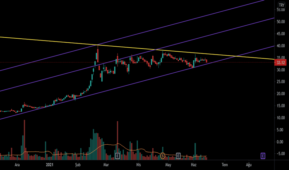 SASA - TREND DİBİNDE