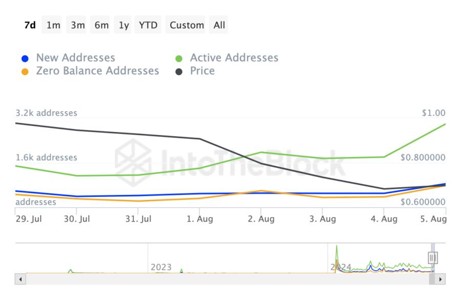 Ondo Active, New, and Zero-Balance Addresses