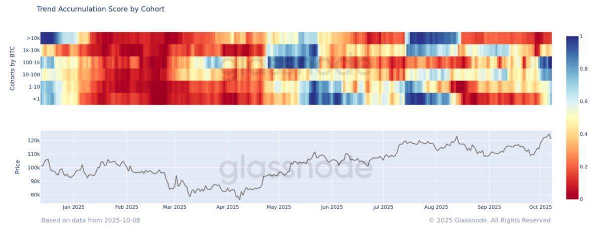 Trend Accumulation Score chart