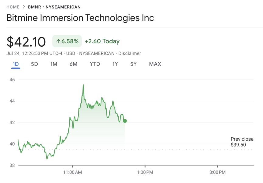 Bitmine Price Performance