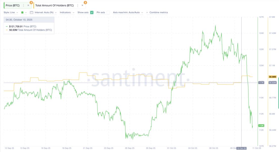 Увеличение числа держателей биткоина