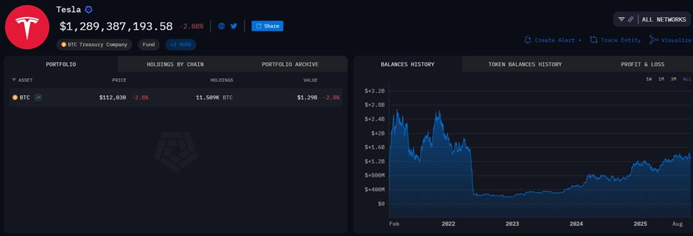 Tesla Bitcoin Varlıkları