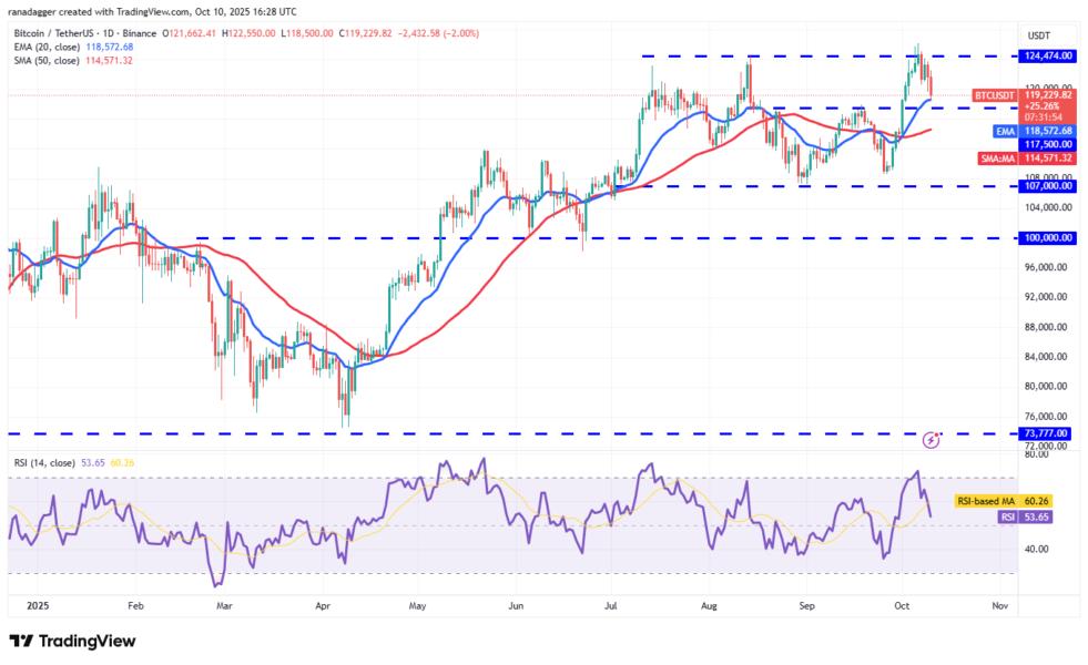 Dogecoin, Cryptocurrencies, Bitcoin Price, XRP, Markets, Cryptocurrency Exchange, Cardano, Price Analysis, Binance Coin, Chainlink, Market Analysis, Ether Price, Solana, SUI