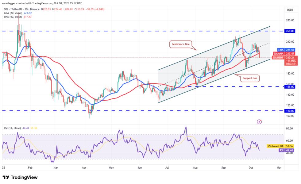 Dogecoin, Cryptocurrencies, Bitcoin Price, XRP, Markets, Cryptocurrency Exchange, Cardano, Price Analysis, Binance Coin, Chainlink, Market Analysis, Ether Price, Solana, SUI
