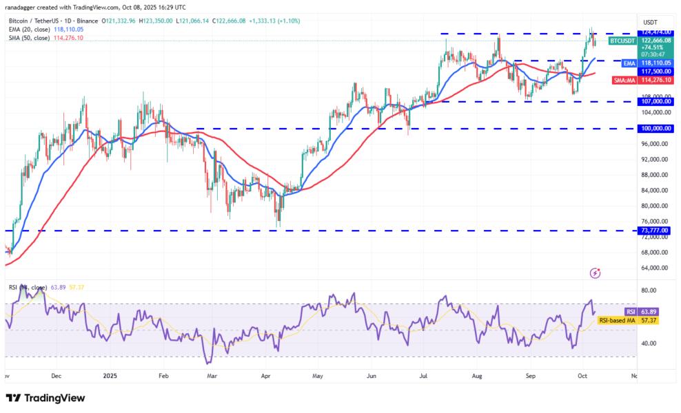 Dogecoin, Cryptocurrencies, Bitcoin Price, XRP, Markets, Cryptocurrency Exchange, Cardano, Price Analysis, Binance Coin, Chainlink, Market Analysis, Ether Price, Solana, SUI
