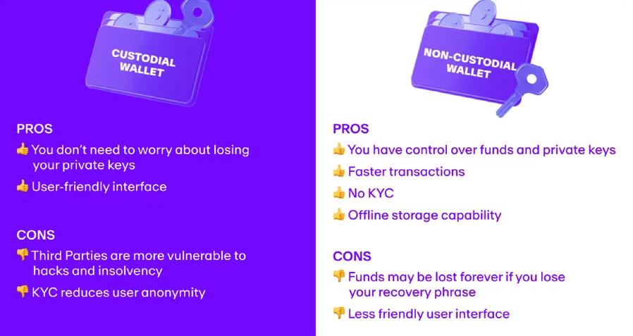 Visa, Wallet, Payments, KYC, Stablecoin, Polygon, Self Custody, Companies