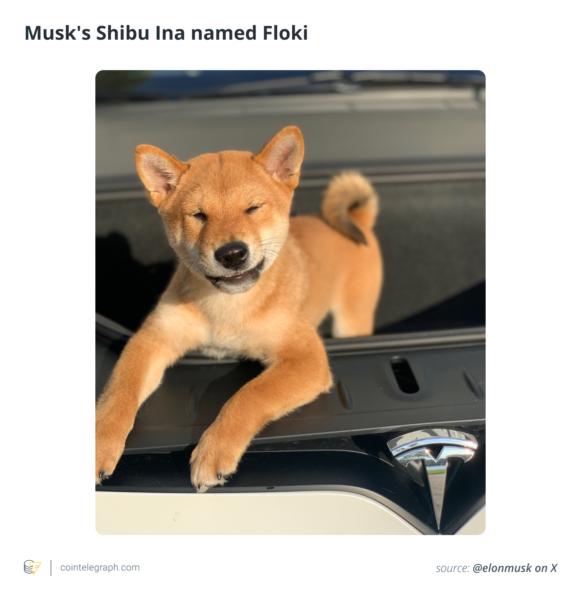 Musk's Shibu Ina named Floki