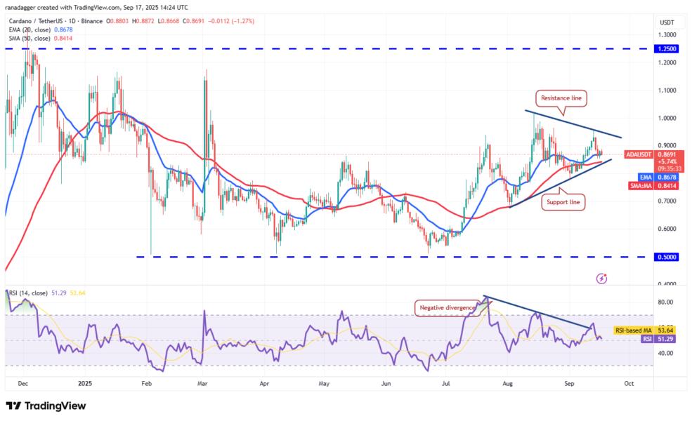 Dogecoin, Cryptocurrencies, Federal Reserve, Bitcoin Price, XRP, Markets, Cryptocurrency Exchange, Interest Rate, Tom Lee, Cardano, Price Analysis, Binance Coin, Chainlink, Fundstrat, Market Analysis, Ether Price, Solana, SUI