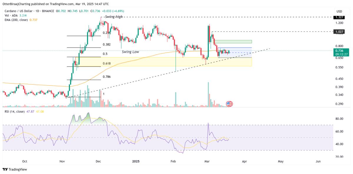 Markets, Cardano
