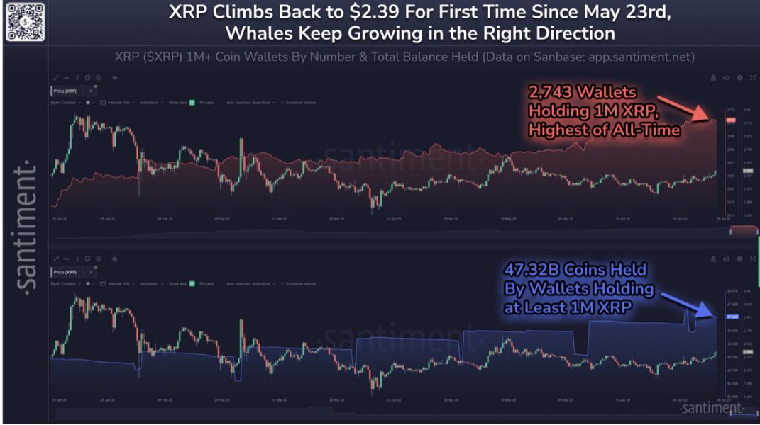 'Sinal muito positivo' do XRP — Baleias atingem novas máximas com aumento de 10% no preço — TradingView News 3 cointelegraph:ef67d9b29bc81 118f780a26be7c042b43c24a8d983e7b resized