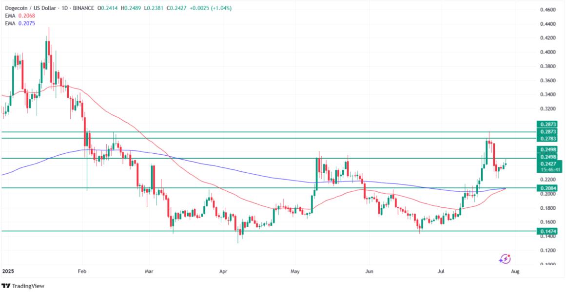 Why is Dogecoin price going up today? Source: Tradingview.com