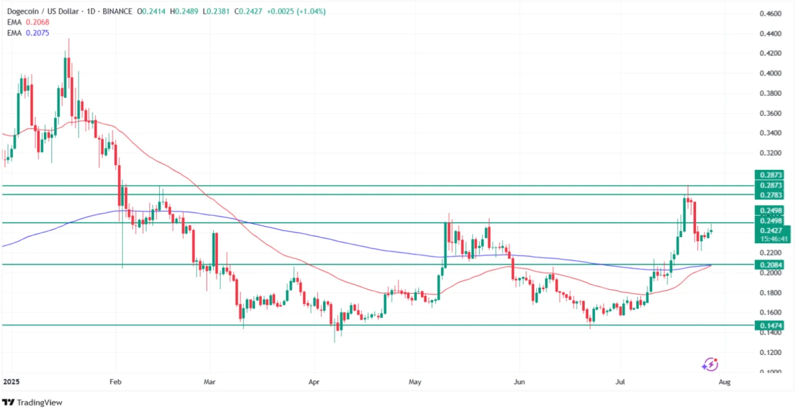 Why is Dogecoin price going up today? Source: Tradingview.com