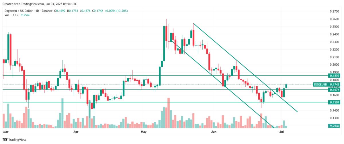 Why is Dogecoin price going up today. Source: Tradingview.com