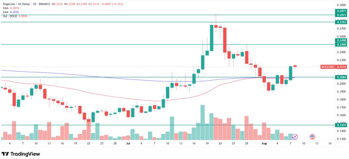 Why is Dogecoin price going up today? Source: Tradingview.com